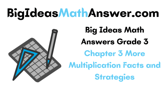 Big ideas math course 3 answer key