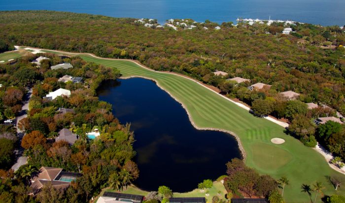 Ocean reef golf cart accident