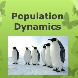 Biointeractive population dynamics answer key